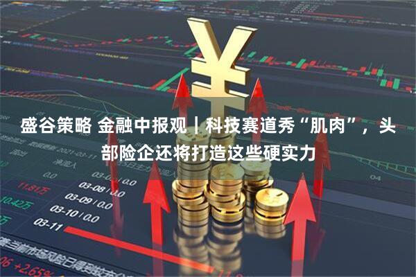 盛谷策略 金融中报观｜科技赛道秀“肌肉”，头部险企还将打造这些硬实力