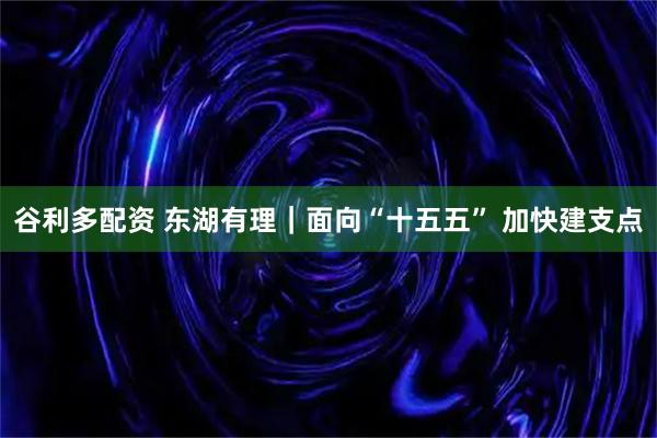 谷利多配资 东湖有理｜面向“十五五” 加快建支点
